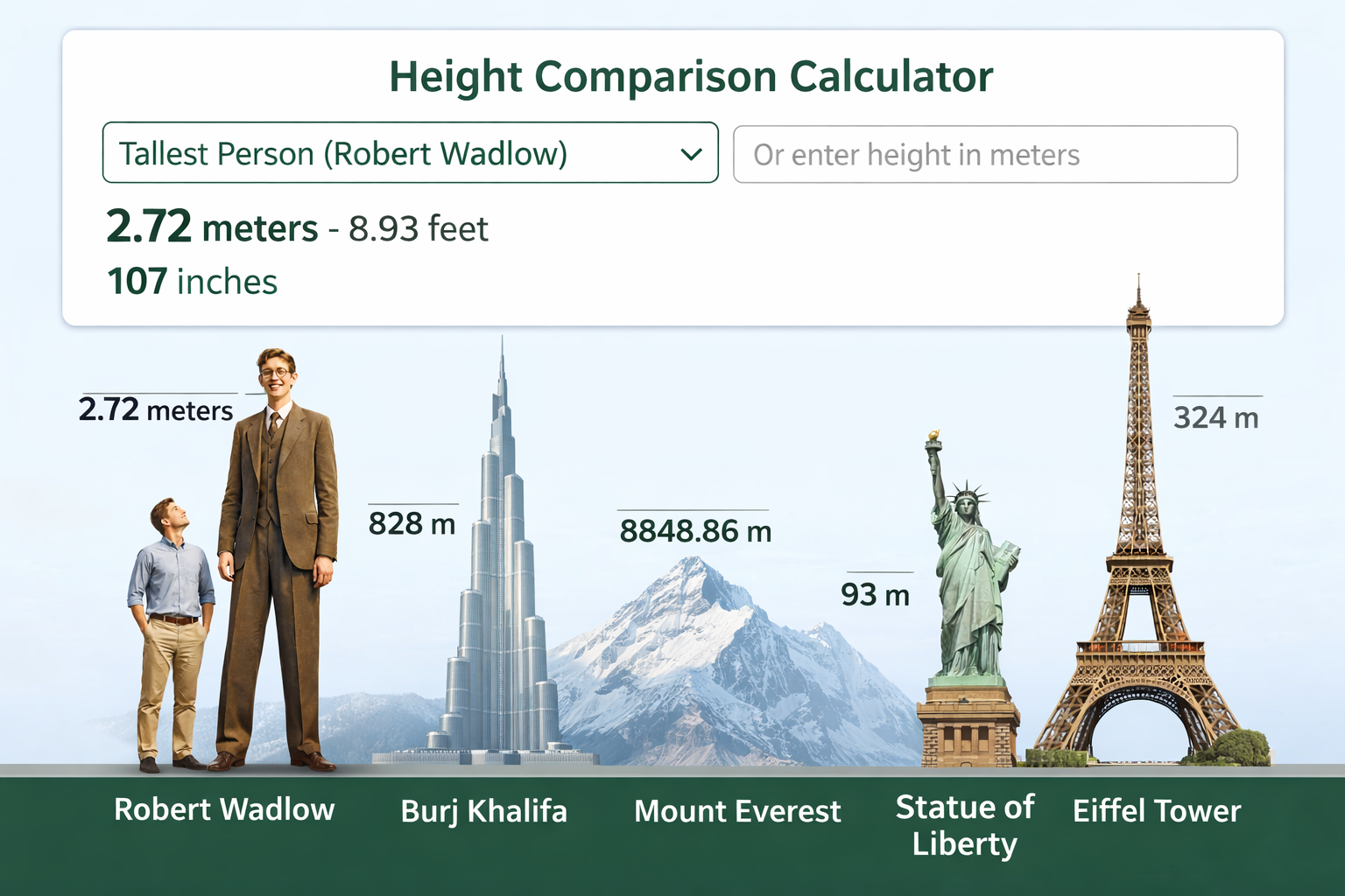 who is the tallest person in the world